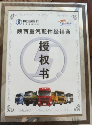 Shaanxi Shacman Delong Truck X3000 Onderdelen Achterkijkspiegel voor vervanging/reparatie